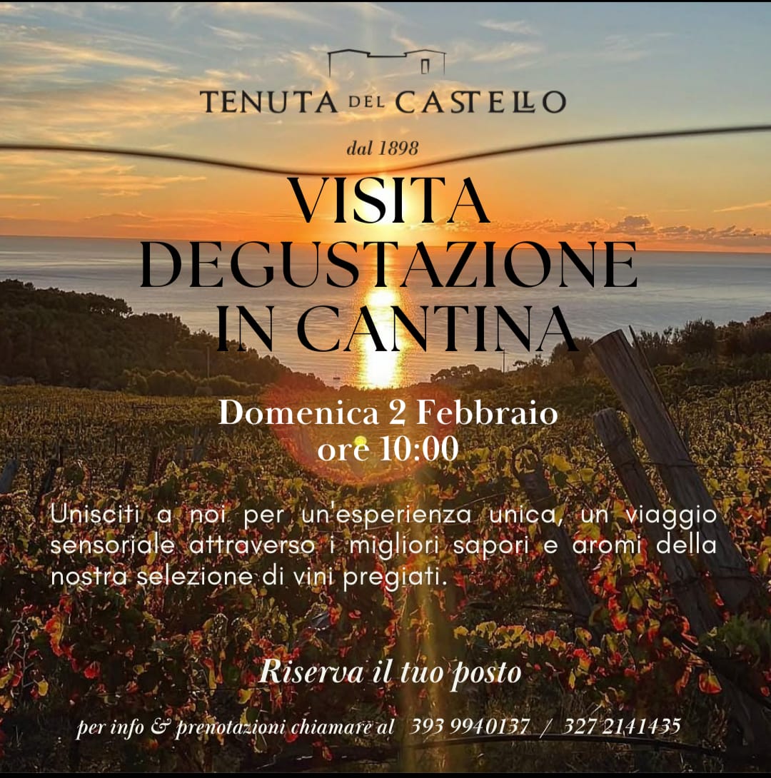 VISITA DEGUSTAZIONE IN CANTINA 